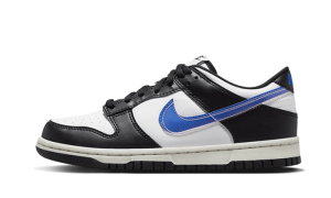 Pandabuy Dunk Low Next Nature TPU Swoosh