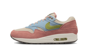 Pandabuy Air Max 1 Light Madder Root