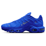 Pandabuy Air Max Plus x A-Cold-Wall 'House Blue'