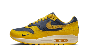 Pandabuy Air Max 1 CO.JP Michigan