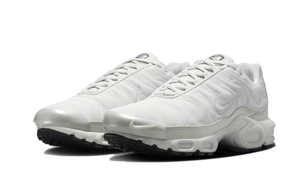 Pandabuy Air Max Plus Reflective Platinum