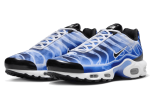 Pandabuy Air Max Plus Light Photography Old Royal