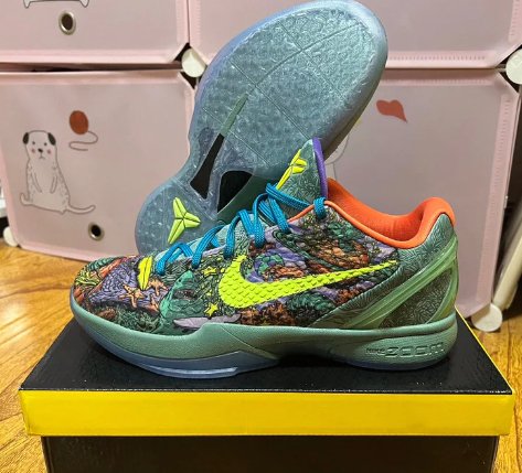 Nike Kobe 6 X Prelude (All Star Mvp)